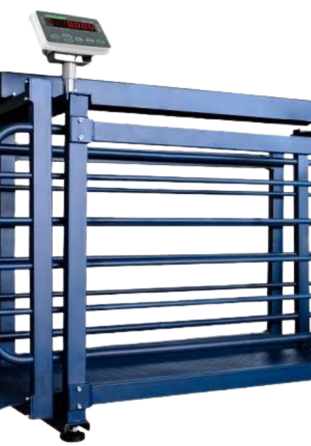 Livestock scale
